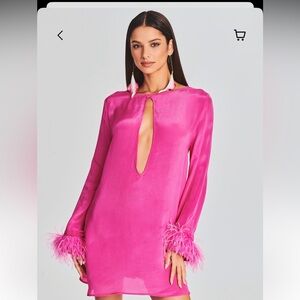 Retrofete mini pink dress (shani shemer)